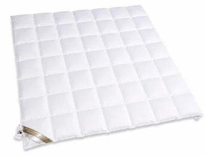 Produktbild von Hofmann Luxus Ganzjahres Daunenbett Daunendecke Bettdecke 7x8 200x220 100% neue Daunen