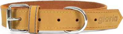 Immagine prodotto di Collare per cani Gloria Oasis Yellow (60 x 3 cm)