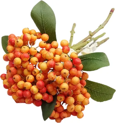 Produktbild von 5 PCs Künstliche Blume gefälschte Berry Zweig Plastik DIY Hochzeitsstrauß Party Wohnkultur gefälschte Blume für Hotel-Orange