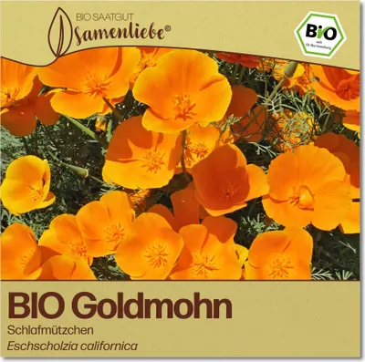 Produktbild von SamenliebeGoldmohn Samen alte Sorte Schlafmützchen 200 Samen samenfestes Blumen Saatgut für Garten Freiland und BalkonBlumensamen