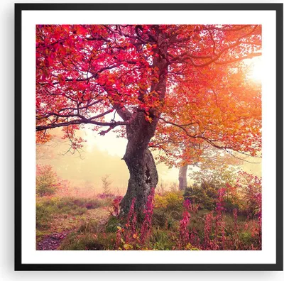Produktbild von Gerahmtes Poster - Schwarzer Rahmen - Baum Natur Wiese - 60x60 cm - Wand Bild - Wanddeko - Wandbilder - Kunstposter - Wandposter - Bilderrahmen - Bilder - Kunstdruck - Wandbild - P2BAC60x60-3658