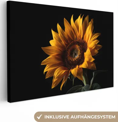 Obrázok produktu pre OneMillionCanvasses® - plátno - 150x100 cm, kvety - botanické - čierne - slnečnica, nástenné umenie Print Wall Decor - fotografia na plátne - maľba na drevenom ráme