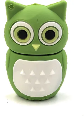 Image de Onlineworld2013 Chouette oiseau en vert Funny Clé USB 64 Go USB 3.0
