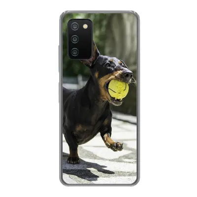 Produktbild von MuchoWow® Handyhülle Schutzhülle Hülle für Samsung Galaxy A03s Ein schwarzer Dachshund mit einem Tennisball Silikon Softcase Handy Hülle - Schutz