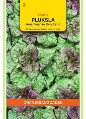 Produktbild von Oranjeband Pflücksalat Amerikanischer brauner - 1 Packung Saatgut