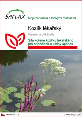 Obrázek produktu pro SAFLAX - kozlík lékařský - Valeriana officinalis - 200 Semena
