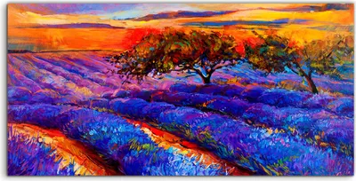 Produktbild von Coloray Acrylbild 100x50  Wandbild Acrylbilder Kunst Sonnenuntergang Lavendelfelder