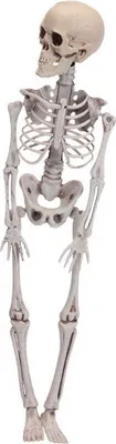 Produktbild von Halloween-Dekoration 42 cm Beige Bunt