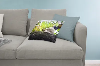 Produktbild von MuchoWow® Zierkissen Sofakissen Wohnzimmer Dekokissen 60x40 cm Igel läuft auf Baumstumpf - Kopfkissen - Polster mit Foto