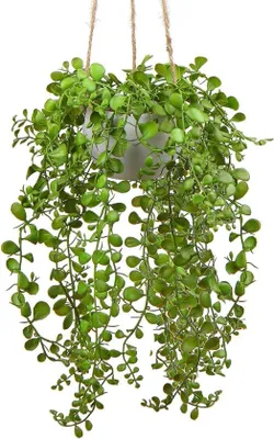 Zdjęcie produktu dla Sztuczna wisząca roślina, zielona, 35 cm, z tworzywa sztucznego