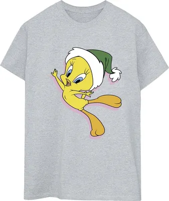 Produktbild von Looney Tunes - T-Shirt für Damen BI33885 (XXL) (Grau)