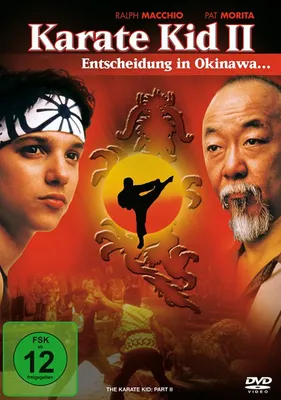 Produktbild von PLAION Karate Kid 2 - Entscheidung in Okinawa, Film, DVD, Farbig, Deutsch, Englisch, Spanisch, Französisch, Italienisch, 109 min, The Karate Kid: Part II