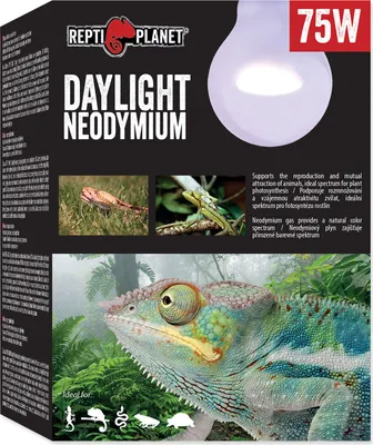Zdjęcie produktu dla Repti Planet 007-41013, 75 W, 1 szt., Pudełko