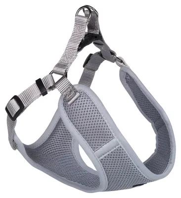 Produktbild von Nobby 80623-81, Hund, Halftergeschirr, XXS, Grau, Einfarbig, 28 cm