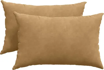 Image de vidaXL Coussins de canapé, lot de 2, marron, 60 x 40 cm, velours côtelé