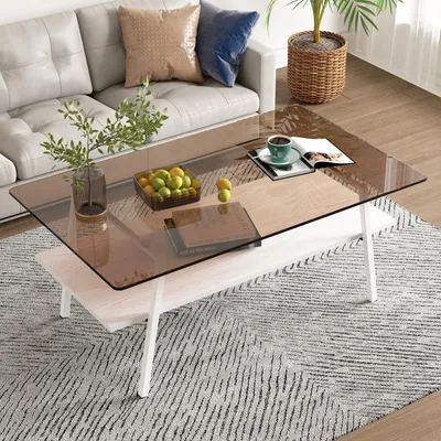 Obrázek produktu pro okwish Konferenční stolek skleněná deska kovové nohy s úložným prostorem obdélníkový design moderní obývací stolek hnědá+bílá