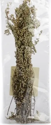 Produktbild von Beifußstrauß - Beifußsträußchen - Beifuß - ganzer Strauß - 1 Stück