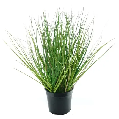Produktbild von GASPER Gras Grün L im schwarzen Topf Ø 11 cm - Kunstpflanzen