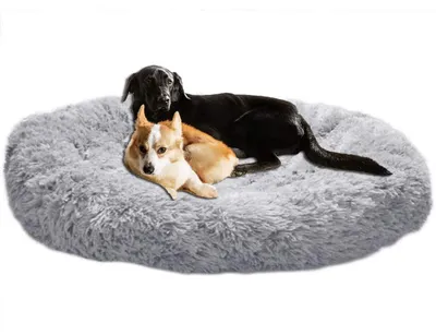 Immagine prodotto di Cuccia ortopedica per cani, taglia XXL, grigia, in memory foam, lavabile e antiscivolo