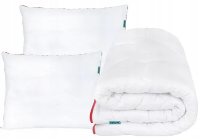 Produktbild von Wendre Winter-Bettdeckenset 220x200cm Allergikerfreundlich