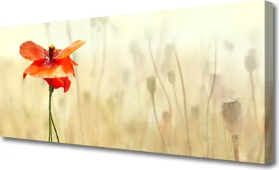Produktbild von Tulup Leinwand-Bilder 125x50 Wandbild Canvas Kunstdruck Mohnblume Pflanzen