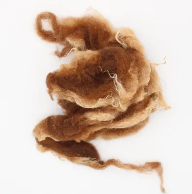 Produktbild von Wollstapel Bergschaf Haselnuss, helle Spitzen 50gr