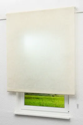 Produktbild von Lysel Outlet - Basisrollo Tageslicht Blätterranken, (B x H) 122.50cm x 190cm in beige/hellelfenbein