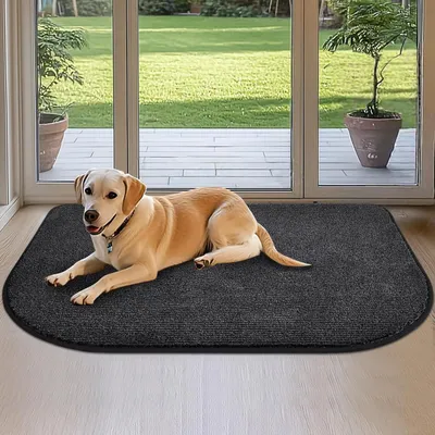 Immagine prodotto di Tappetino antiscivolo per interni, a forma di semicircolo, 80x120 cm, lavabile, colore antracite