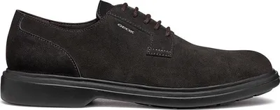 Image de GEOX U OTTAVIO Marron