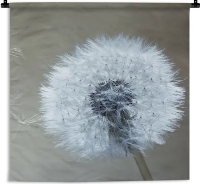 Produktbild von MuchoWow® Wandteppich Wandbehang Löwenzahn - Blume - Pflanze 60x60 cm Tapisserie Dekoration Wandtuch - Dekorationen - Wand Decke