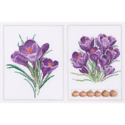Zdjęcie produktu dla Zestaw do haftu krzyżykowego Thea Gouverneur "Tkanina do liczenia krokusów", wzór do liczenia, 34x22cm