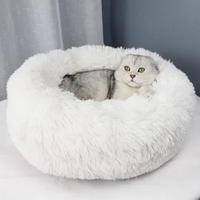 Zdjęcie produktu dla Bett Jenny White L