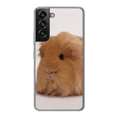 Produktbild von MuchoWow® Handyhülle Schutzhülle Hülle für Samsung Galaxy S22 Plus Sheltie-Meerschweinchen Silikon Softcase Handy Hülle - Schutzabdeckung
