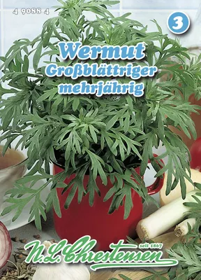 Artikelbild 1 von 'Wermut Großblättriger' aus der Kategorie Heilpflanzensamen