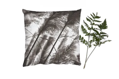 Produktbild von MuchoWow® Zierkissen Sofakissen Wohnzimmer Dekokissen 60x60 cm Pampasgras - Schwarz - Weiß - Pflanze - Sitzfläche - Foto Polster