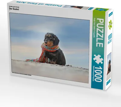 Produktbild von CALVENDO Puzzle Ein Motiv aus dem Kalender Der Dackel | 1000 Teile Lege-Größe 64x48cm Foto-Puzzle für glückliche Stunden