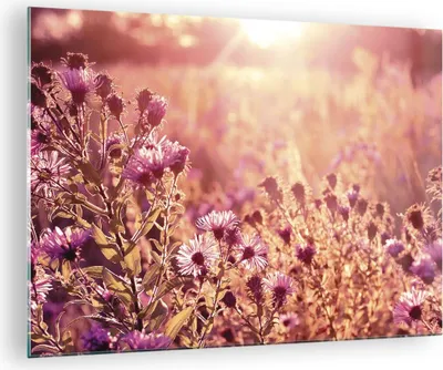 Produktbild von Bilder auf glas - Einteilig - Wiese Blumen Sonne - 70x50cm - Glasbilder - Wandbilder - Bilder - zum Aufhängen bereit - Wanddekoration aus Glas - Glas Bilder - Wandbild auf Glas - GAA70x50-4819
