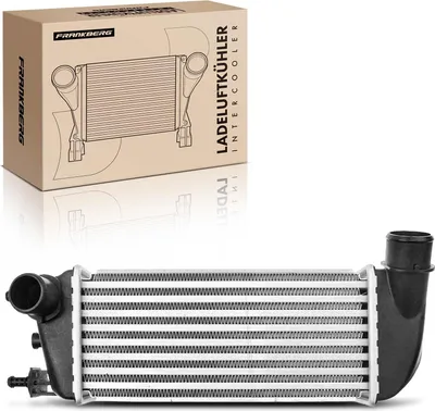 Immagine prodotto di Frankberg 1x Intercooler Turbocooler per Fiat 500 500 C 312 Ford KA RU8 1.2L 1.3L anno dal 2007