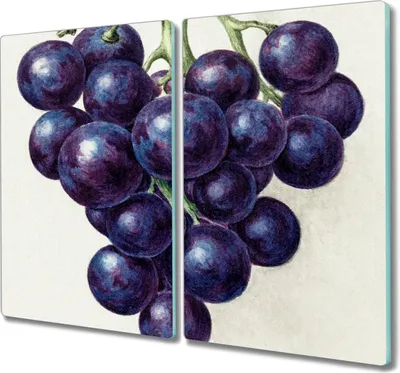 Produktbild von Coloray Hackbrett Kochplattenabdeckung Herdabdeckplatte 2x30x52 cm Schneidebrett Küchenbrett - Trauben Früchte