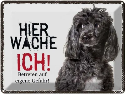 Produktbild von vianmo Blechschild 30x40 cm Pudel hier wache ich eigene Gefahr Tier Haustier Hund