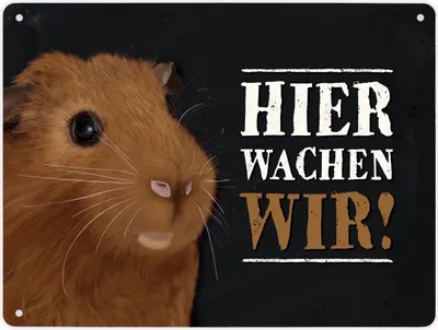 Produktbild von Hier wachen wir! Metallschild XL mit Meerschweinchen Motiv Schild Blechschild