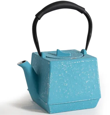 Produktbild von Draixcor Teekanne Vielseitige Gusseisen Teekanne Kollektion mit Edelstahlfilter, Mehrere Farben & Muster, hitzebeständig mit Verbrühschutzgriff