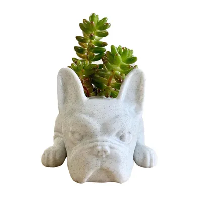 Produktbild von Welpentopf, Dekoration, Harztopf, Hunde-Blumentopf