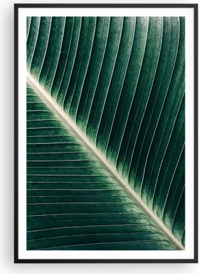 Produktbild von Gerahmtes Poster - Schwarzer Rahmen - Grün Blatt Tropisch - 70x100 cm - Wand Bild - Wanddeko - Wandbilder - Kunstposter - Wandposter - Bilderrahmen - Bilder - Kunstdruck - Wandbild - P2BPA70x100-4126