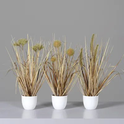 Produktbild von 3er Set künstliche Gräser im Topf H. 36cm D. 7cm sand grün DPI Kunstblumen