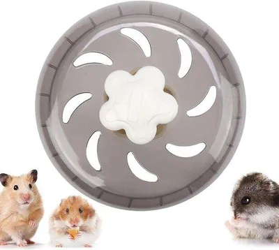 Immagine prodotto di Piccola ruota in plastica da 13 cm per animali domestici - Giocattolo
