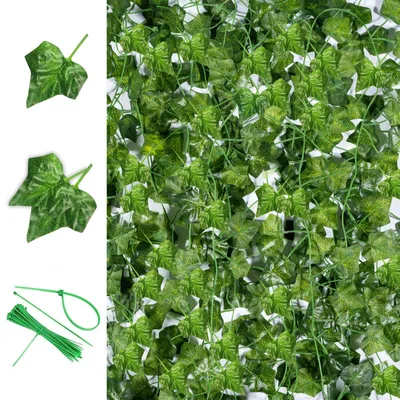 Image de Guirlande de lierre artificiel, 12 éléments, plante artificielle de 2,2 m de long, lierre suspendu pour la cuisine, les mariages, le balcon, le jardin, les décorations de fête, le bureau, la décoration murale
