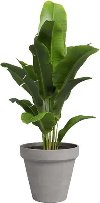 Produktbild von Artevasi Amalia Pot, Grau, 1,3 l, 150 mm, 137 mm, 24 Stück(e)