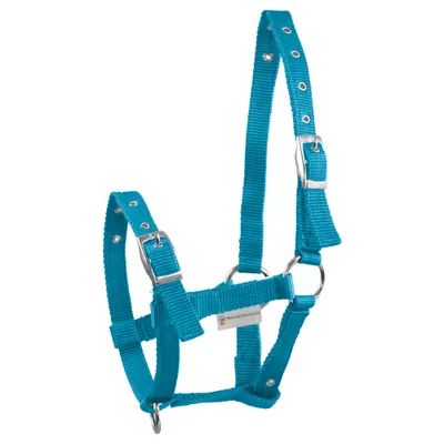 Image de Waldhausen Licol pour poulain Triple