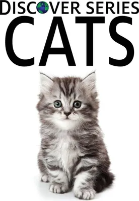 Produktbild von Katzen